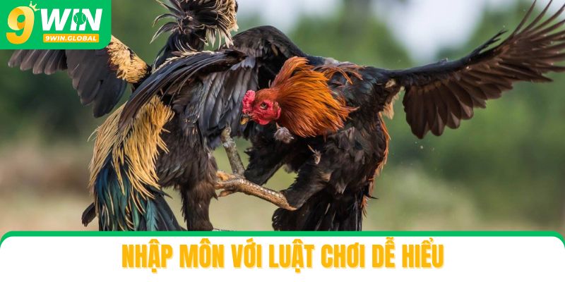 Nhập môn với luật chơi dễ hiểu